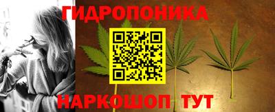 ПСИЛОЦИБИНОВЫЕ ГРИБЫ Гатчина