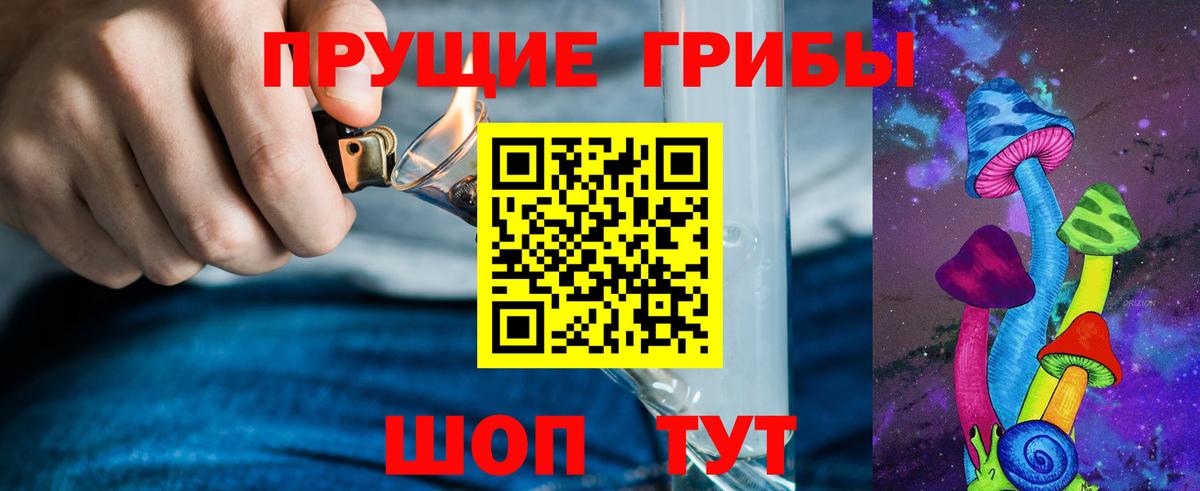 Галлюциногенные грибы Psilocybine cubensis Ноябрьск